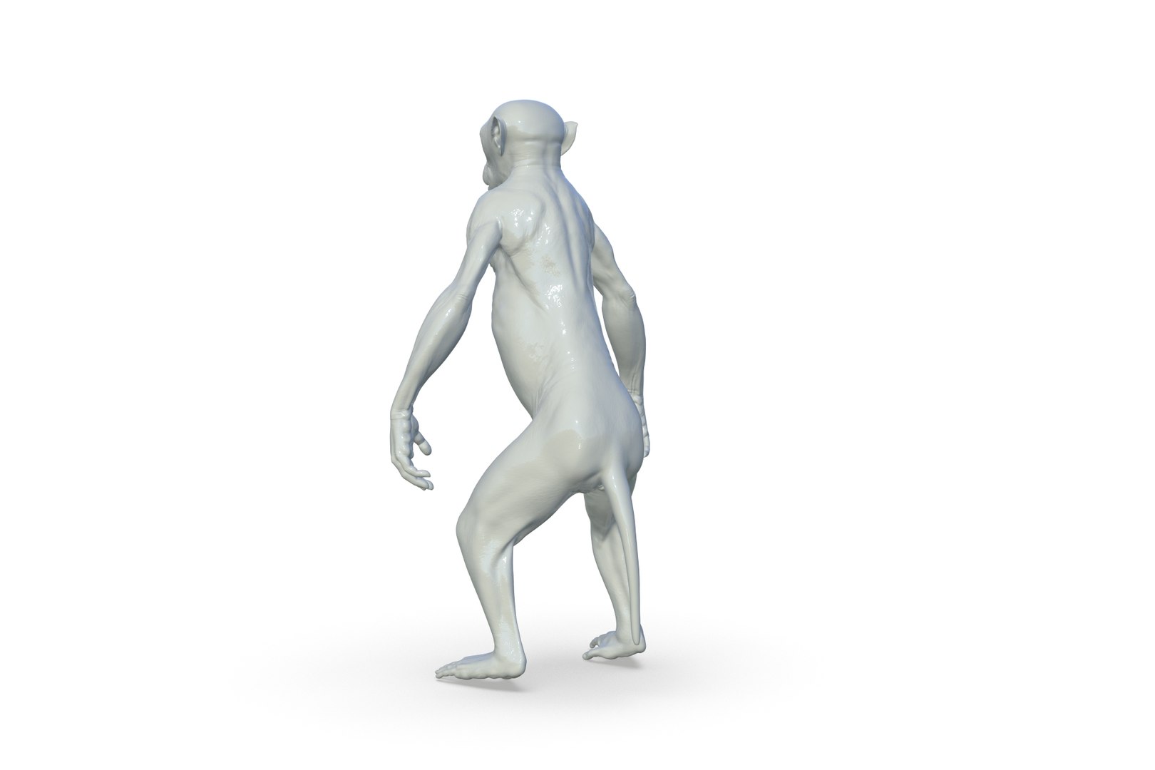 Monkey 3D model https://p.turbosquid.com/ts-thumb/vJ/nHSkTI/ue/render_03/jpg/1711297797/1920x1080/fit_q87/51f63336da9342b71bd1c18d7849fb78411f6eed/render_03.jpg