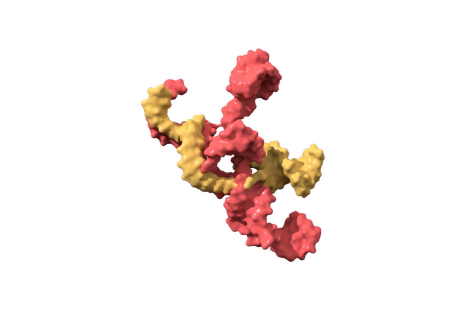 Crispr Cas9 3D - TurboSquid 1187179