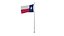 Texas Flags Bundle
