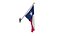 Texas Flags Bundle