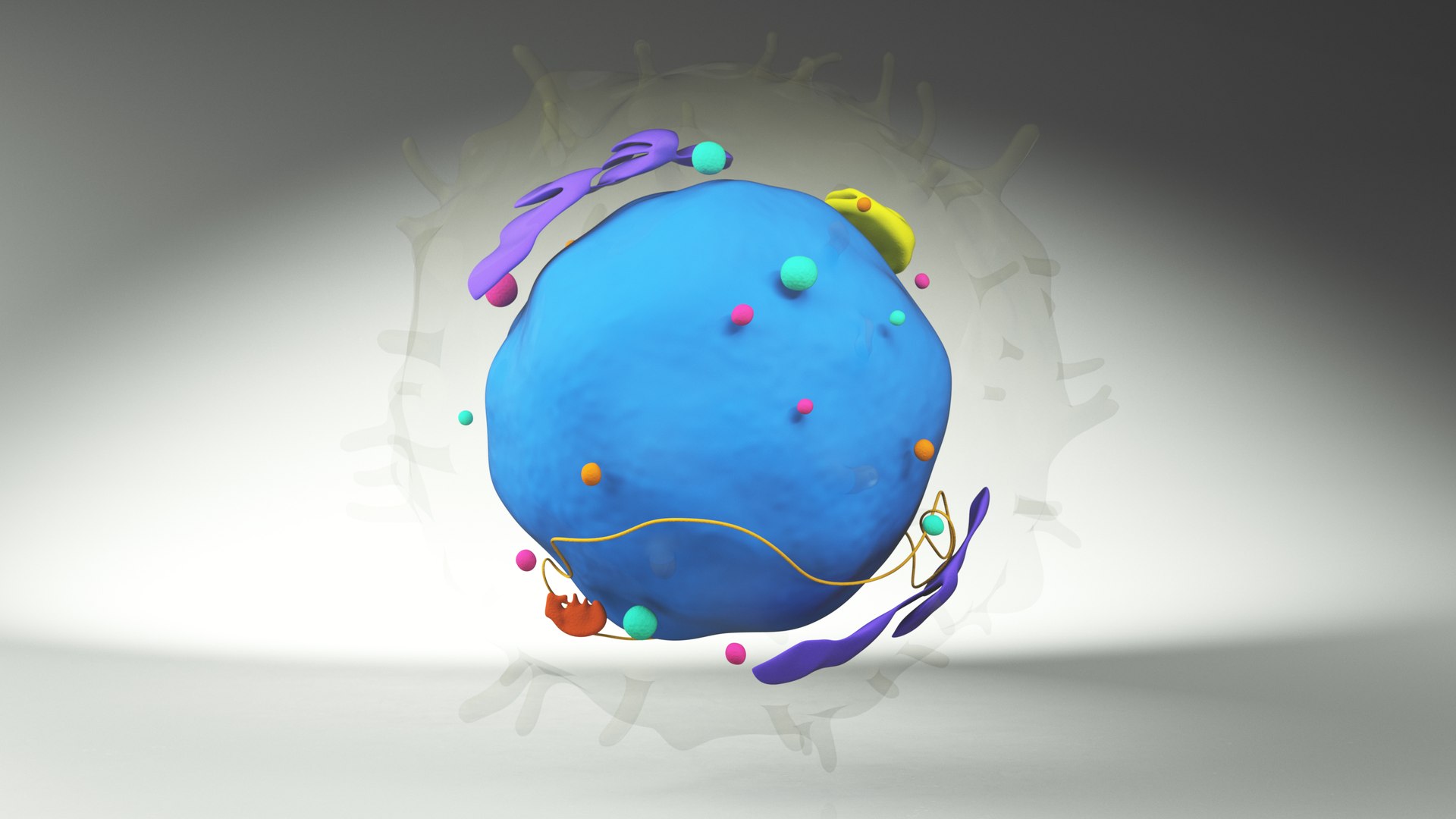 Lymphocyte Blood Cell 3D Model - TurboSquid 2130574