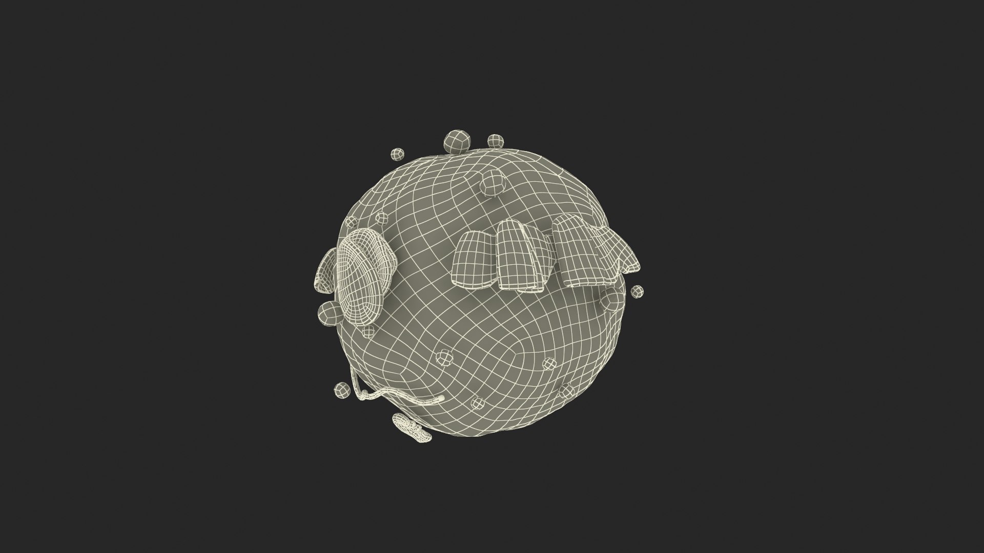Lymphocyte Blood Cell 3D Model - TurboSquid 2130574
