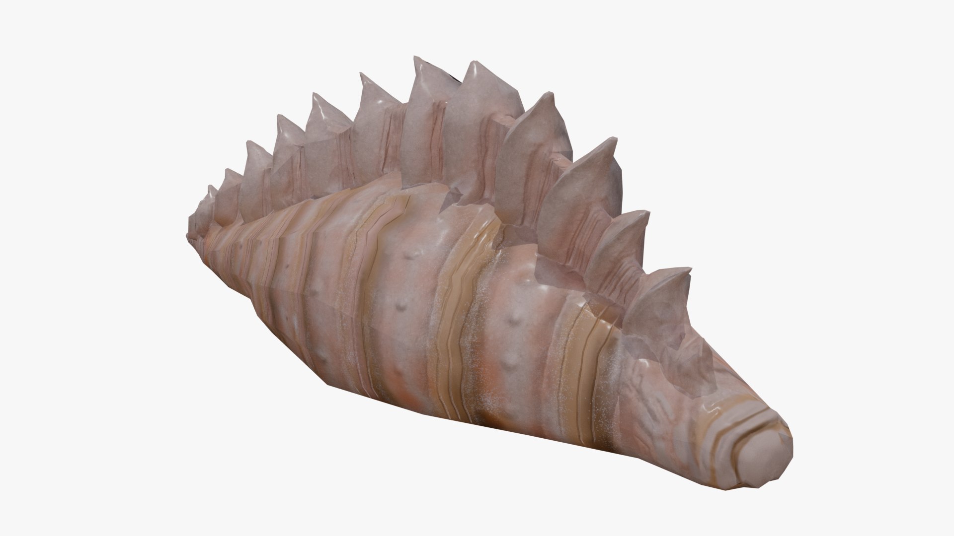 3D Sea Shell - TurboSquid 1569496