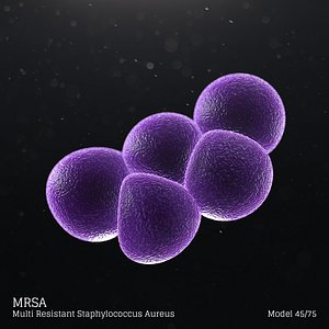 Mrsa - Multi Resistant Staphylococcus Aureus