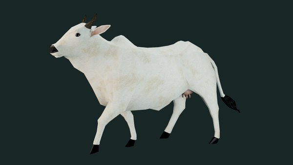 cow indian india 3D