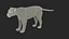 Jaguar truqué pour Maya