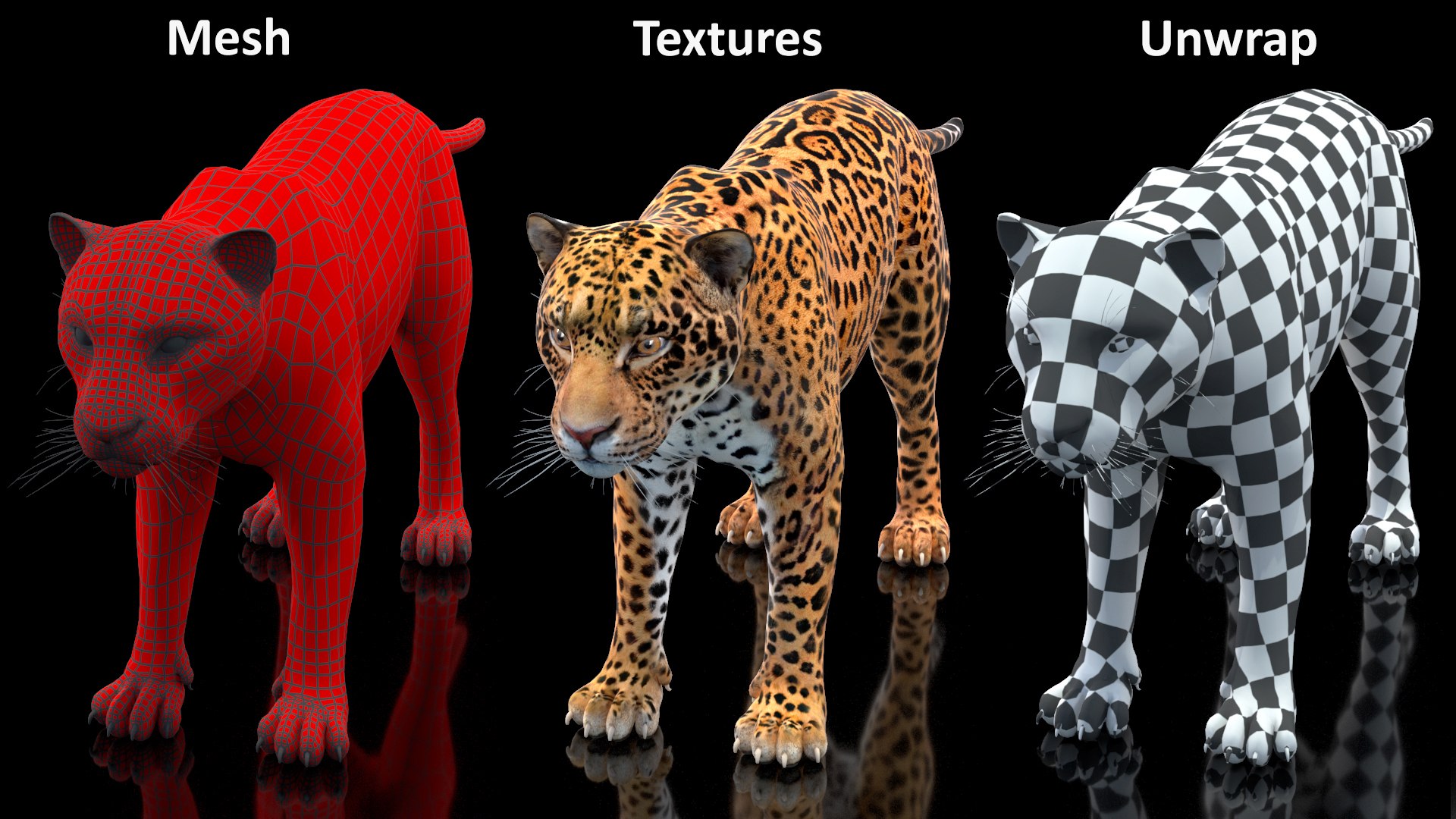 3D model Jaguar Rigged for Maya https://p.turbosquid.com/ts-thumb/vK/l6QABr/5V/jaguarriggedformaya3dsmodel042/jpg/1720510809/1920x1080/fit_q87/4b3fcc3e21d132f351b63a962894cbaf4f45ce5d/jaguarriggedformaya3dsmodel042.jpg