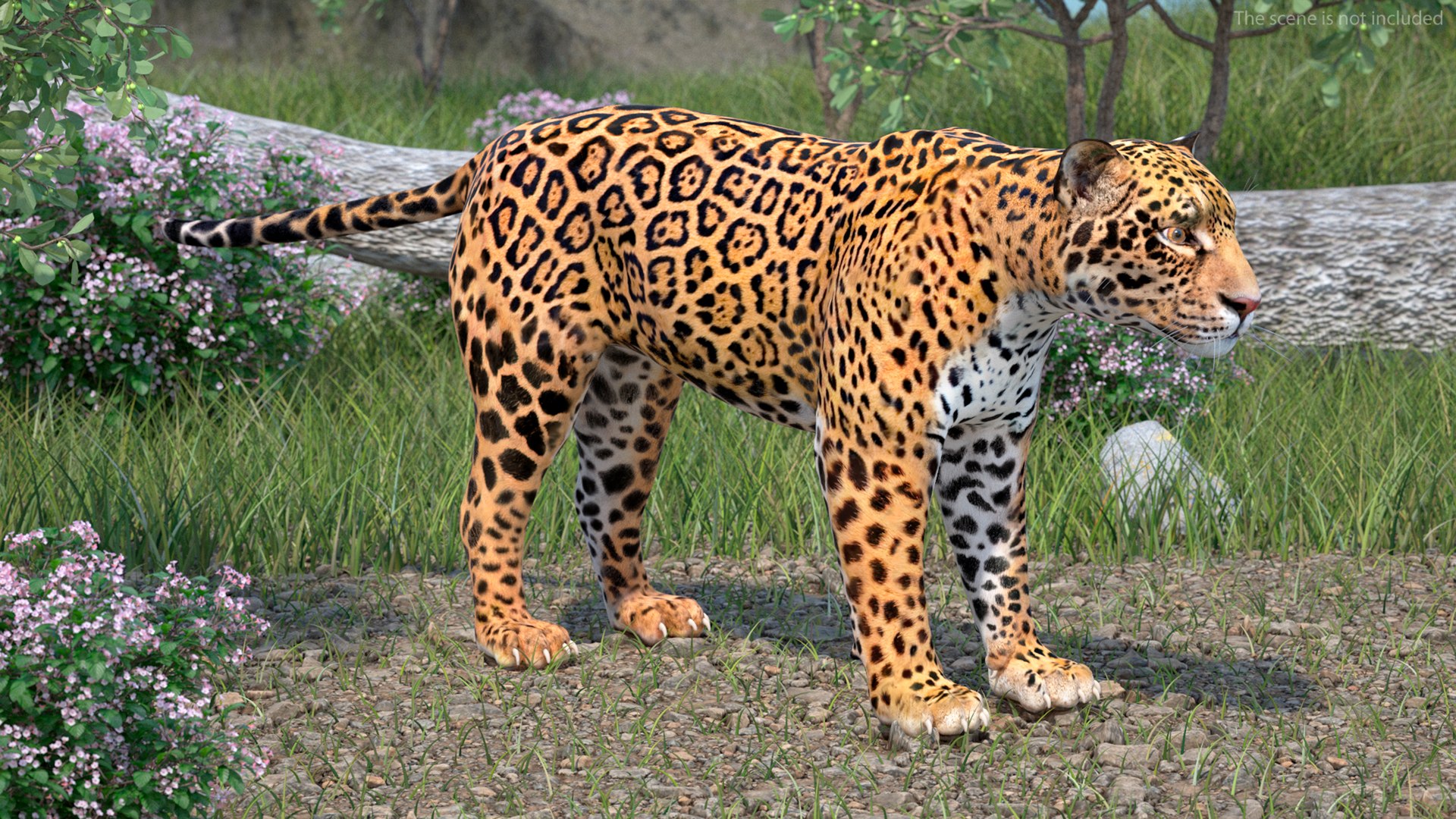 3D model Jaguar Rigged for Maya https://p.turbosquid.com/ts-thumb/vK/l6QABr/LD/jaguarriggedformaya3dsmodel003/jpg/1720510633/1920x1080/fit_q87/61aa72e18c31a7bcb828d34e37b00c9af3a5eaa3/jaguarriggedformaya3dsmodel003.jpg