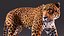 Jaguar truqué pour Maya