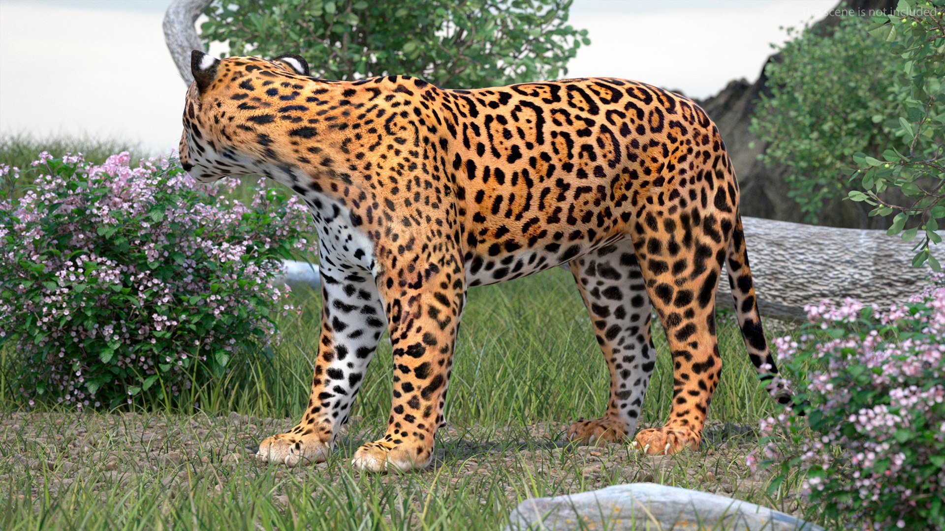 3D model Jaguar Rigged for Maya https://p.turbosquid.com/ts-thumb/vK/l6QABr/Qh/jaguarriggedformaya3dsmodel006/jpg/1720510649/1920x1080/fit_q87/7147f19fa307c5c4c0ea2d52a11f6db4123f99b1/jaguarriggedformaya3dsmodel006.jpg