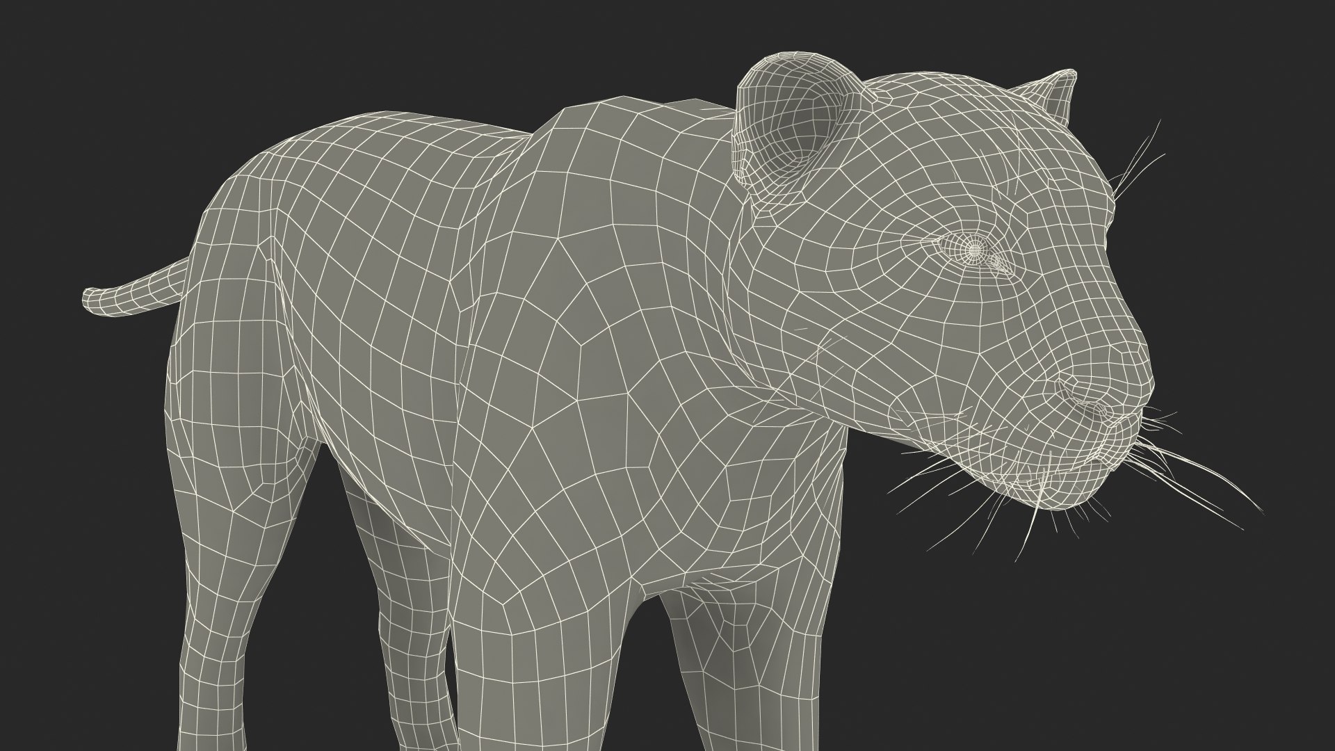 3D model Jaguar Rigged for Maya https://p.turbosquid.com/ts-thumb/vK/l6QABr/S8/jaguarriggedformaya3dsmodel052/jpg/1720510848/1920x1080/fit_q87/f8d729316fceb033db6e1a66bb1ab4ec0304f63a/jaguarriggedformaya3dsmodel052.jpg