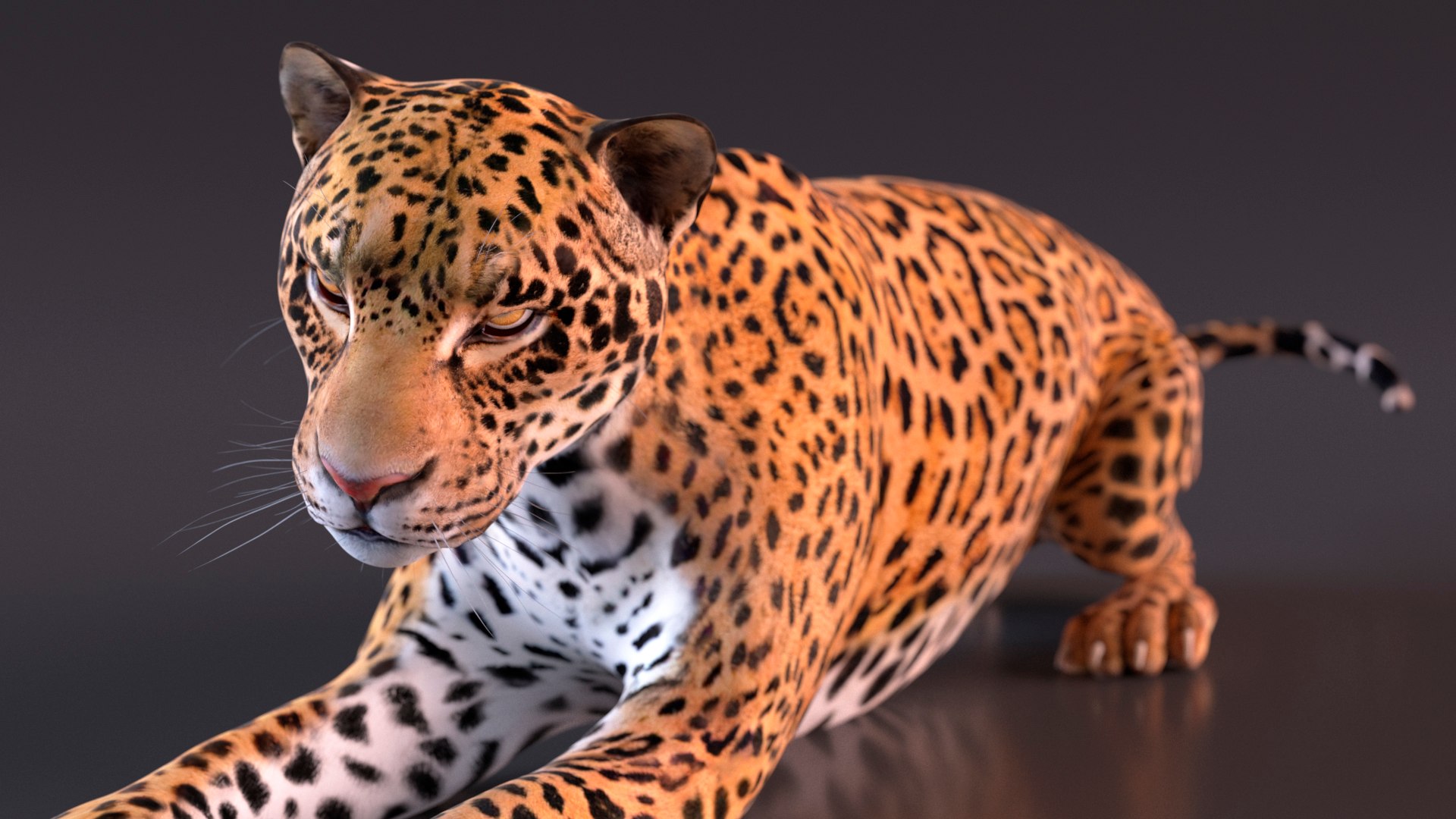 3D model Jaguar Rigged for Maya https://p.turbosquid.com/ts-thumb/vK/l6QABr/d5/jaguarriggedformaya3dsmodel017/jpg/1720510705/1920x1080/fit_q87/a51793bb37868c77fba6944b304251bc4225bc72/jaguarriggedformaya3dsmodel017.jpg