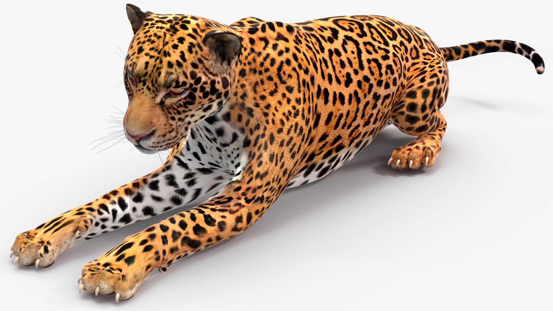 3D model Jaguar Rigged for Maya https://p.turbosquid.com/ts-thumb/vK/l6QABr/nU/jaguarriggedformaya3dsmodel021/jpg/1720510721/1920x1080/fit_q87/7bda1c0a17f689d160ecad73cfb99331eaf1aeb5/jaguarriggedformaya3dsmodel021.jpg