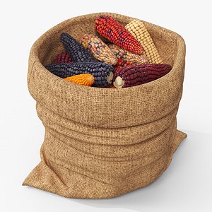 Sack of Multicolor Corn Cobs