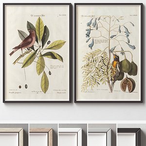 Picture Frames Set-510
