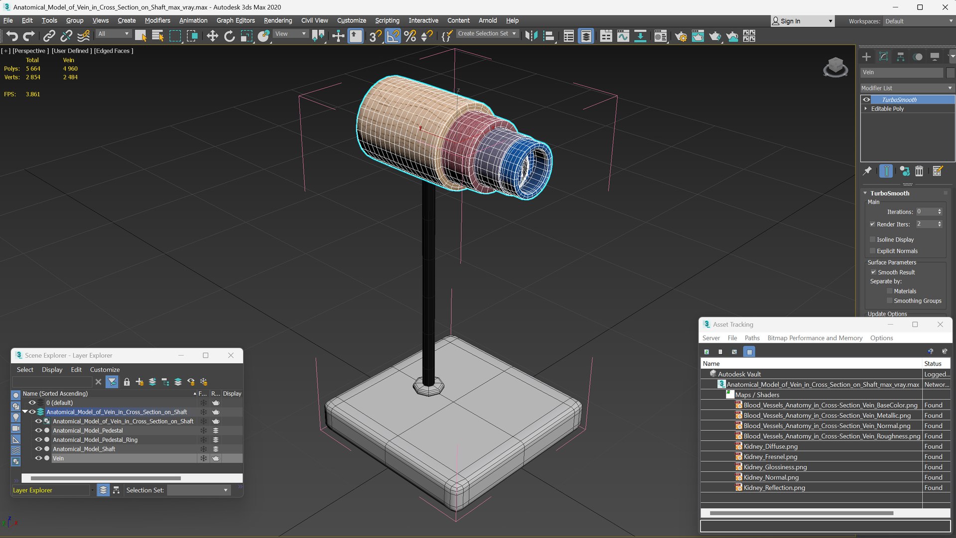 3D Anatomical Model of Vein in Cross Section on Shaft https://p.turbosquid.com/ts-thumb/vL/HzAOgy/S9/anatomical_model_of_vein_in_cross_section_on_shaft_014/jpg/1744240779/1920x1080/fit_q87/50ab89b0756209746eb04fc02cc7a2b3e9538c54/anatomical_model_of_vein_in_cross_section_on_shaft_014.jpg
