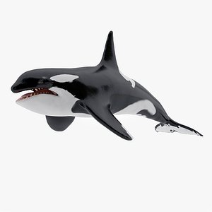 Killer Whale Animation Rig Max