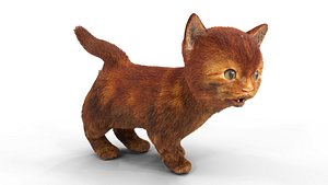 Red Fur Cute Cat kitten yellow animated 3D model