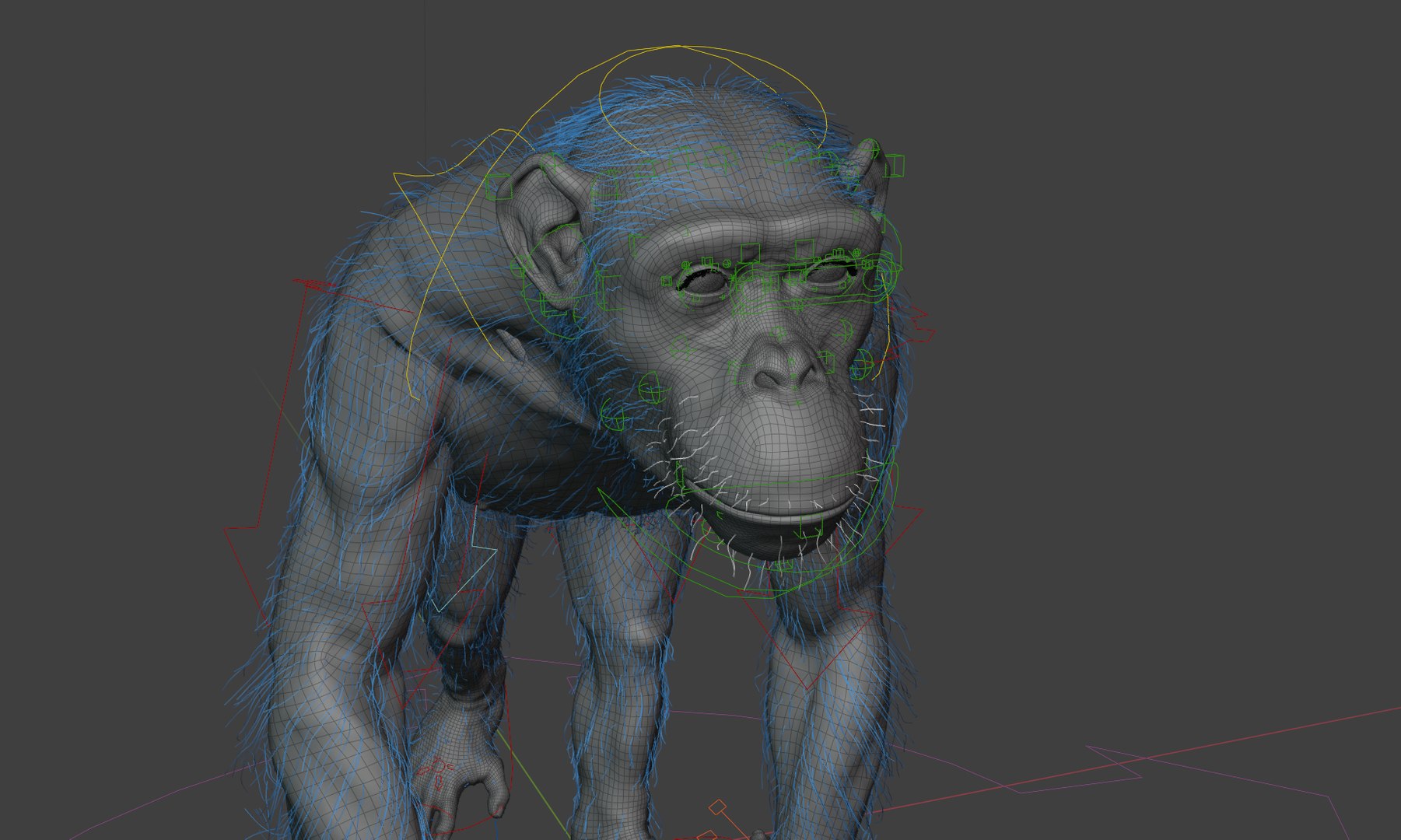 Chimpanzee Rigged 3D Model - TurboSquid 2375412