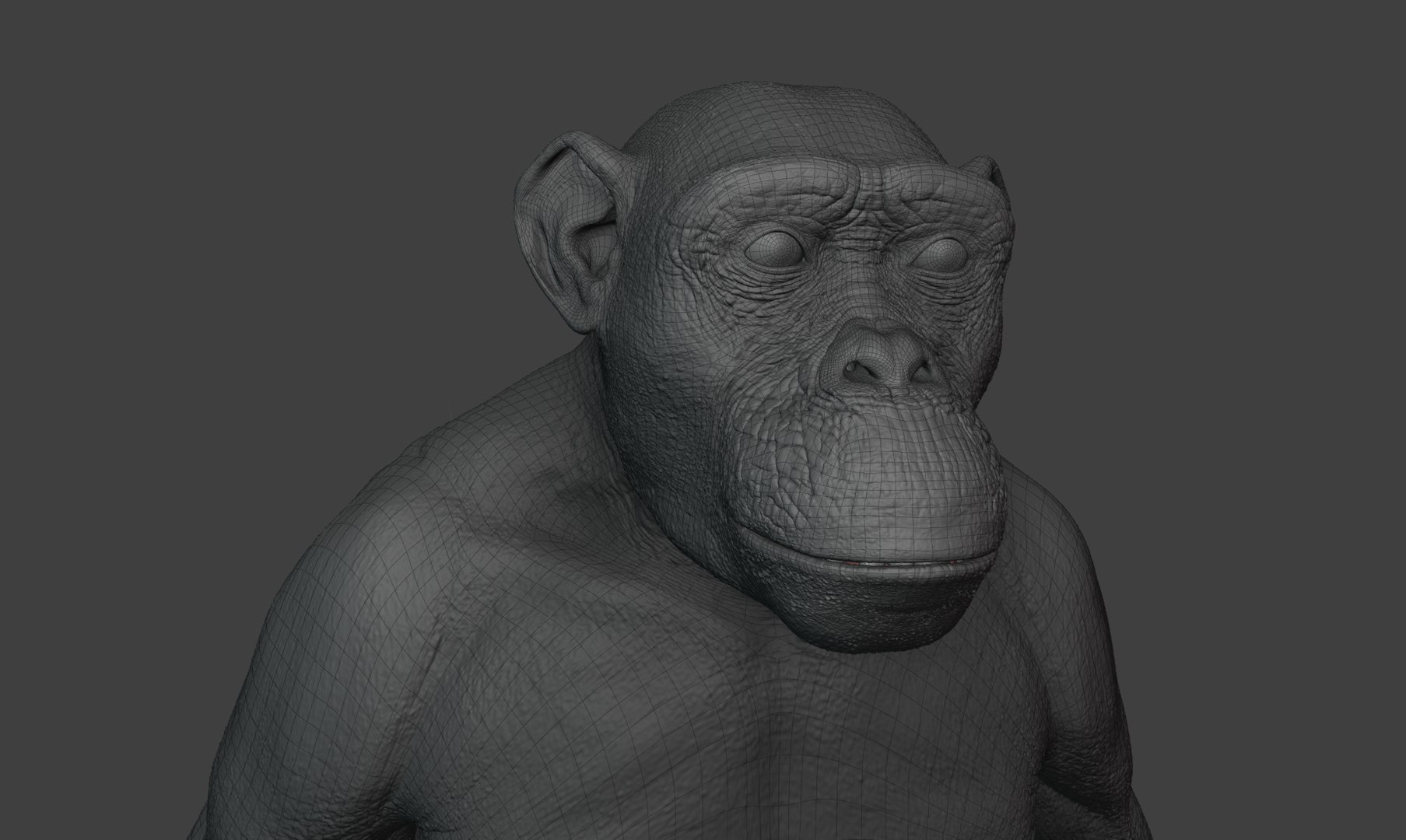 Chimpanzee Rigged 3D Model - TurboSquid 2375412