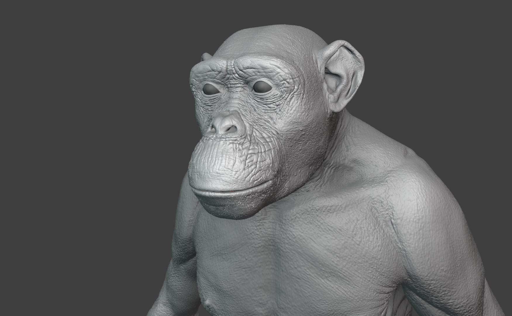 Chimpanzee Rigged 3D Model - TurboSquid 2375412