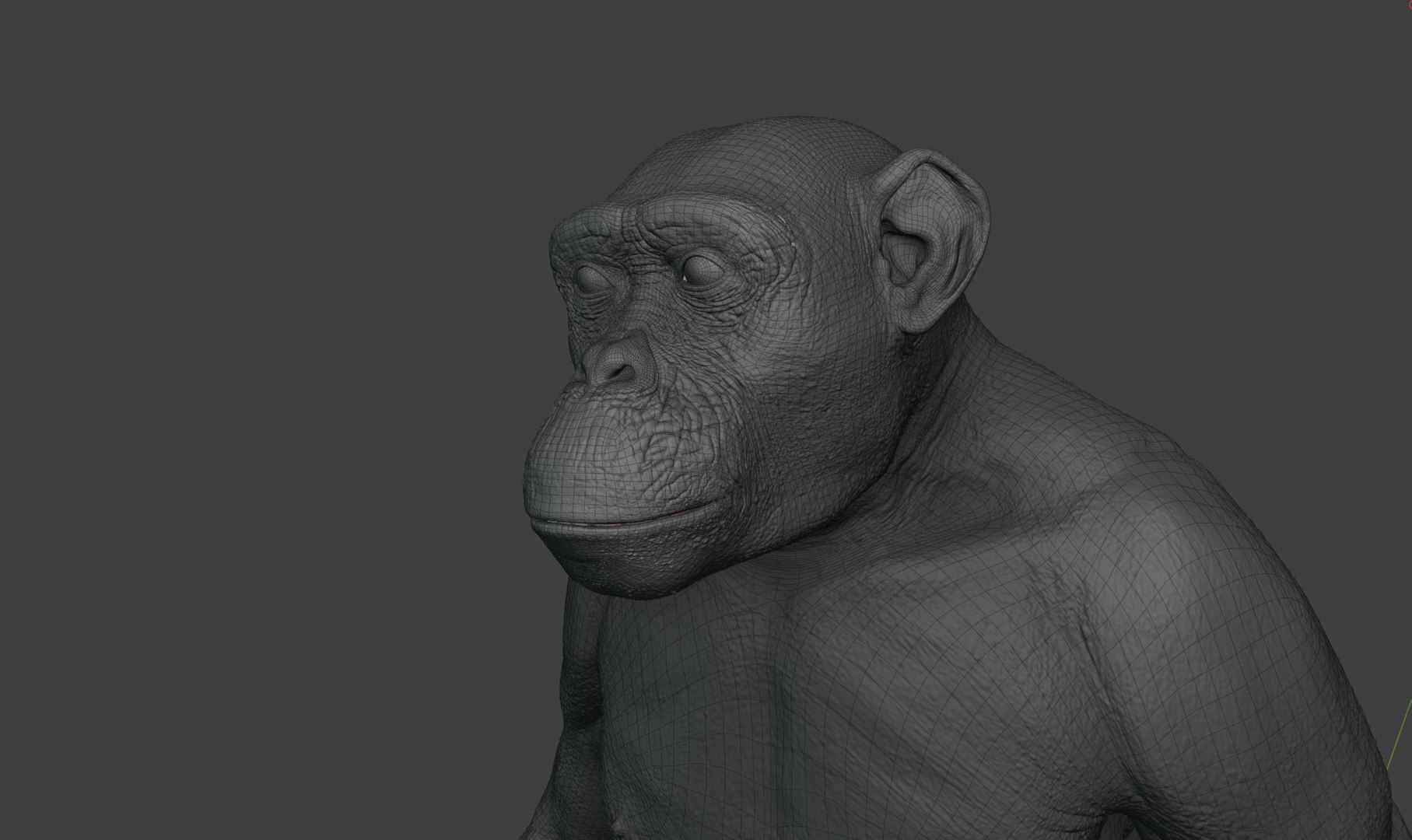Chimpanzee Rigged 3D Model - TurboSquid 2375412