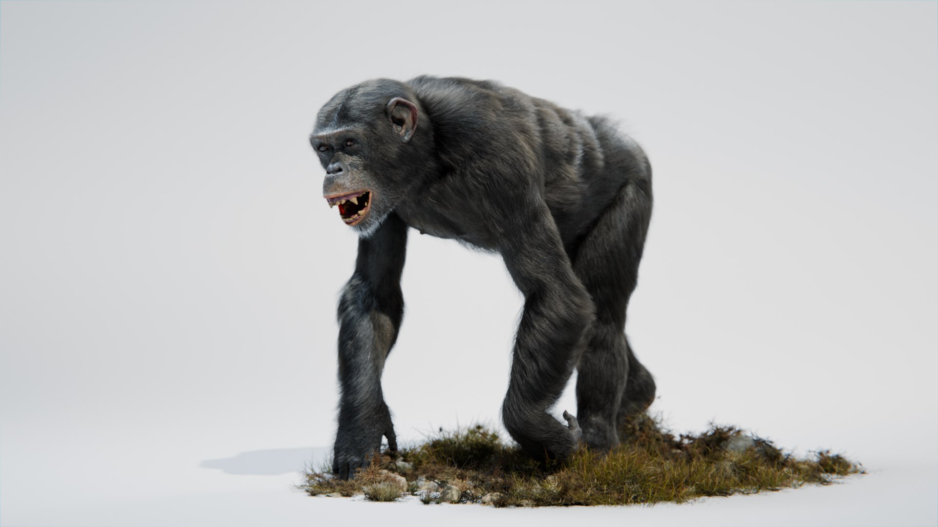 Chimpanzee Rigged 3D Model - TurboSquid 2375412