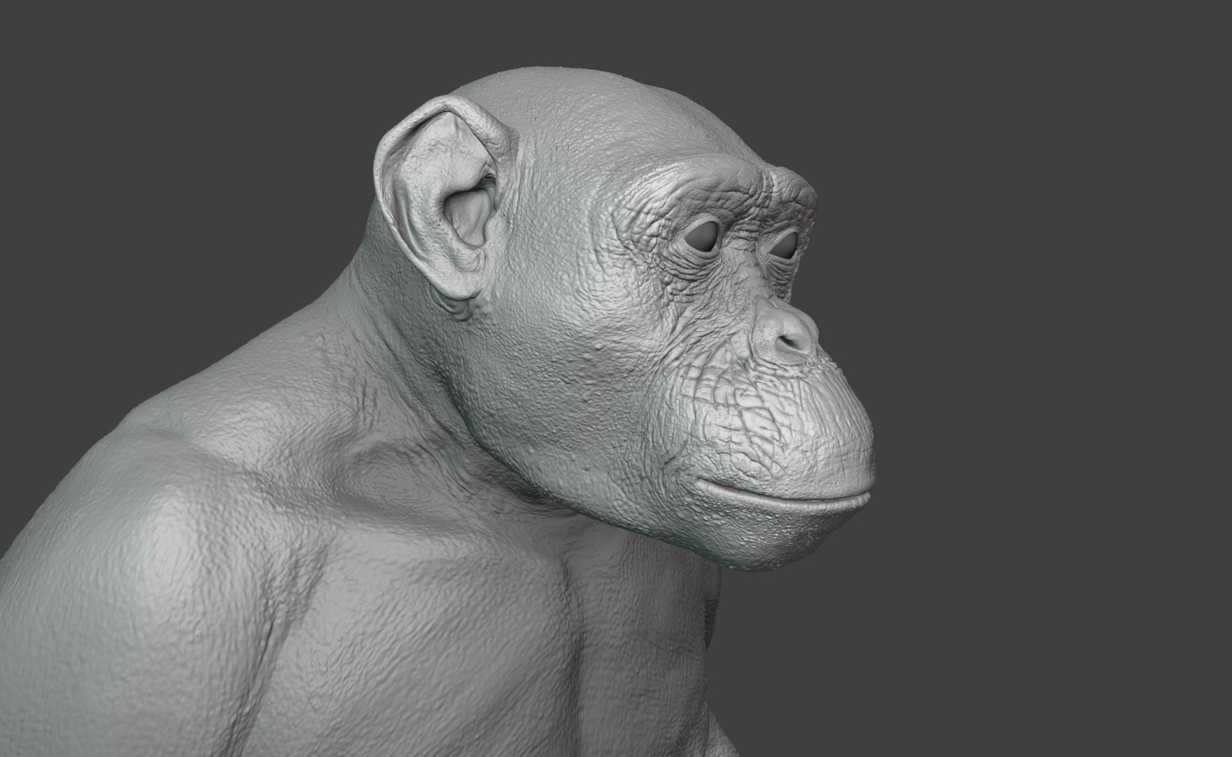 Chimpanzee Rigged 3D Model - TurboSquid 2375412