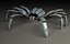 Roboterspinne