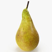 Pear Conference 06 Hi Poly Version