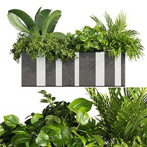 3D plant vol 828 - pothos - palm - bush