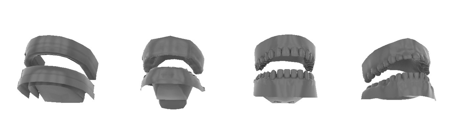 Human Jaw With Teeth Tooth 3D Model Lowpoly And High Definition Model ...