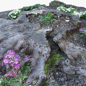 max tree stump 11 -