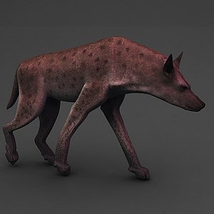 Super Hyena ( Super Crocuta )