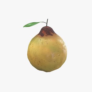 Medieval Quinces 3D model