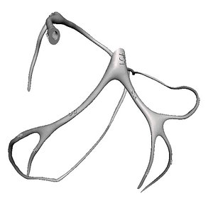 3D coronary arteries model