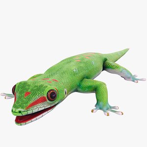 3D Madagascar Day Gecko PBR