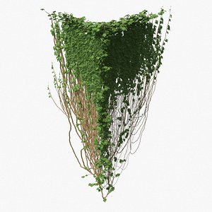 3D ivy pbr branches