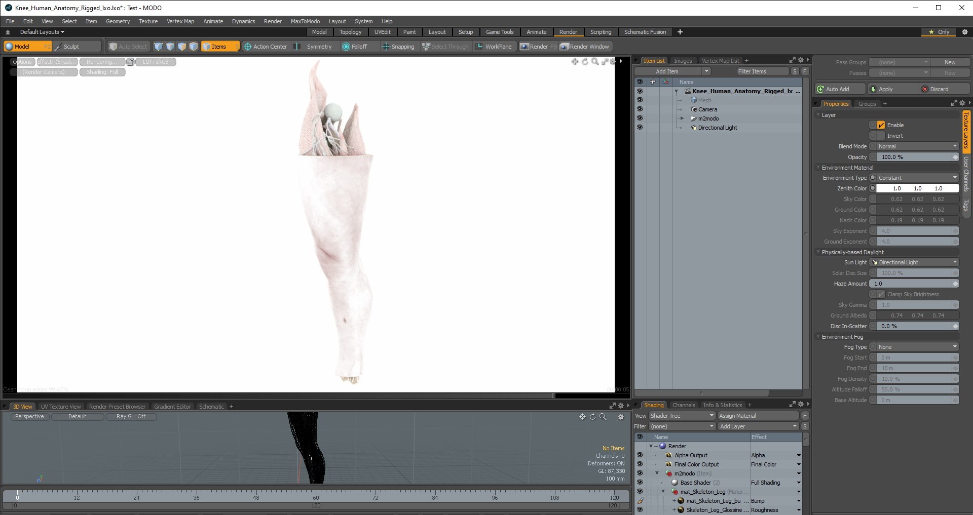 knee human anatomy rigged 3D model https://p.turbosquid.com/ts-thumb/vN/71dVNy/iCy9ZERa/knee_human_anatomy_rigged_lxo_02/jpg/1593786034/1920x1080/fit_q87/244730a7edeb6c12b1c6f79d95be8d76d7675dcb/knee_human_anatomy_rigged_lxo_02.jpg