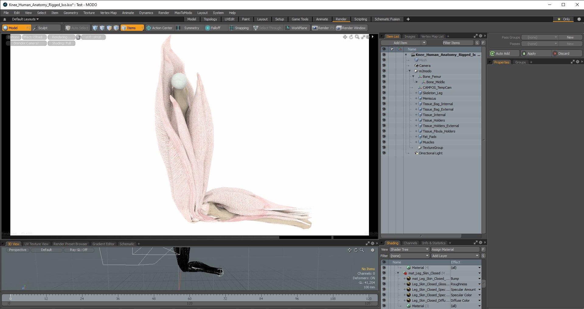 knee human anatomy rigged 3D model https://p.turbosquid.com/ts-thumb/vN/71dVNy/lK7YtaLV/knee_human_anatomy_rigged_lxo_04/jpg/1593786034/1920x1080/fit_q87/08171b5adf04a2ce864df444886e5eae287c319a/knee_human_anatomy_rigged_lxo_04.jpg