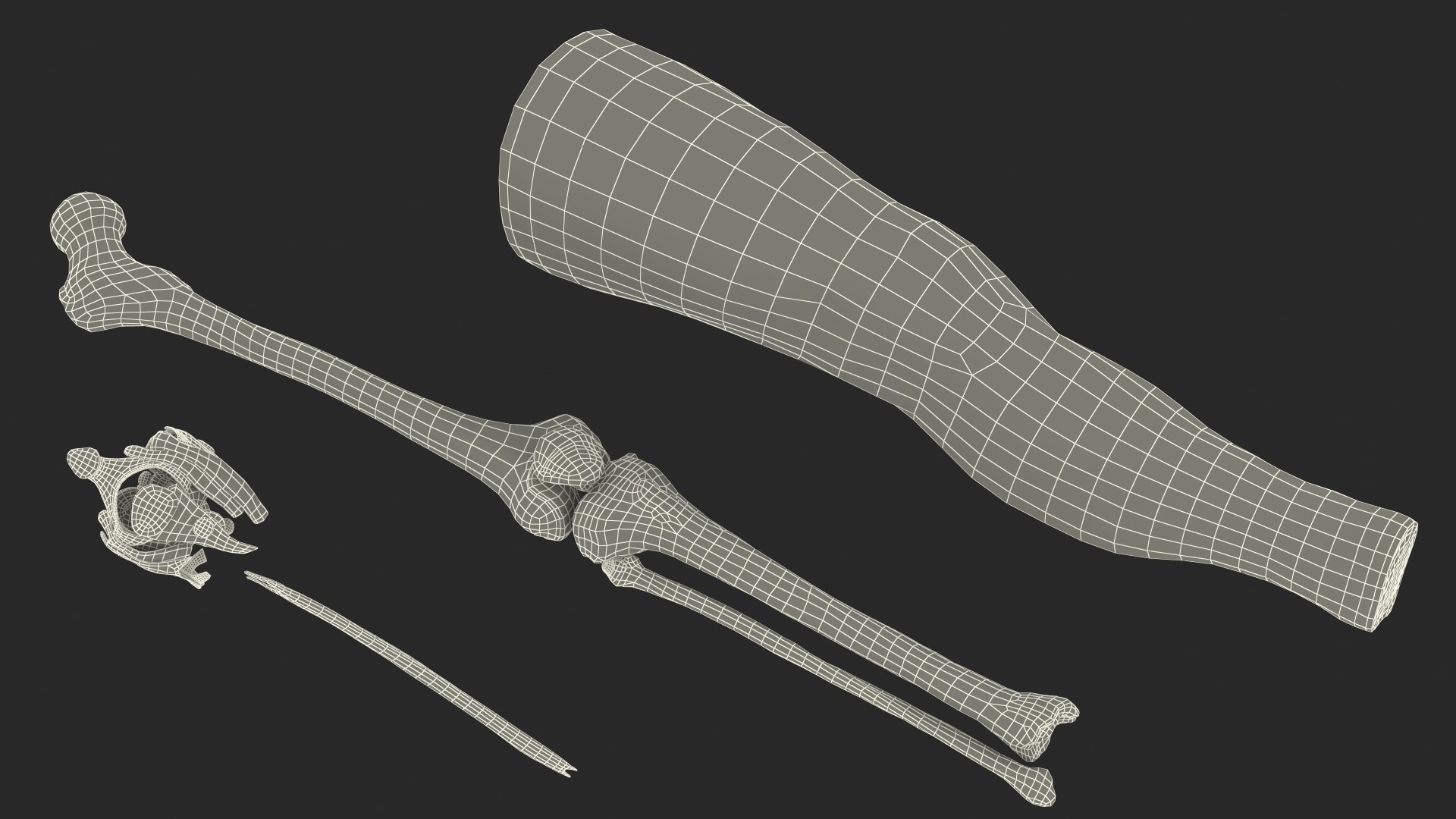 knee human anatomy rigged 3D model https://p.turbosquid.com/ts-thumb/vN/71dVNy/n321QJOl/kneehumananatomyriggedc4dmodel028/jpg/1593630559/1920x1080/fit_q87/4b4dd6b19297f8cf591e985802096e9b7913b814/kneehumananatomyriggedc4dmodel028.jpg