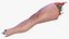 Knee Human Anatomy Rigged for Modo
