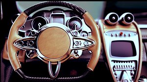 Pagani_2010