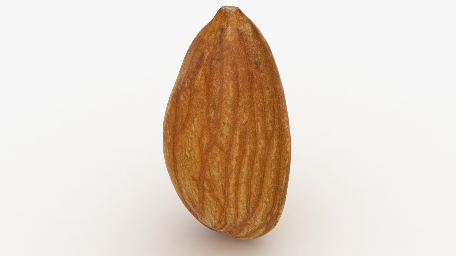 Almond Cashew and Pecan 3D model https://p.turbosquid.com/ts-thumb/vN/Po3sOV/sh/rawalmo/jpg/1621067432/1920x1080/turn_fit_q99/5b9cd409b99601546ecc07633d2781f0c588aeec/rawalmo-1.jpg