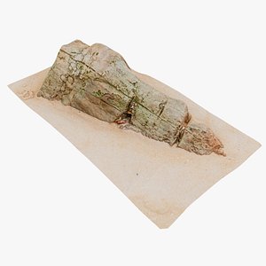 Beach Rock Scan 09 16K 3D model
