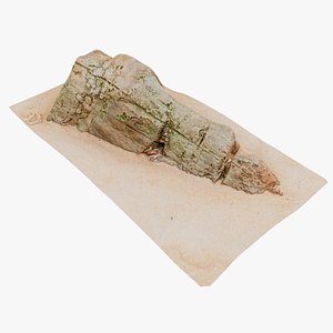 Beach Rock Scan 09 16K