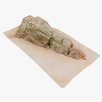 Beach Rock Scan 09 16K