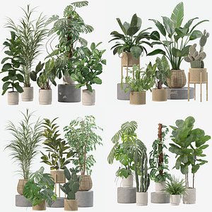 20 Photorealistic Flowers for Interiors - set 202 206 210 212 3D