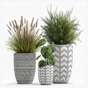 Houseplants in a flowerpot for the interior 1025