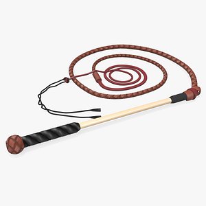 3D Braided Leather Bullwhip Coiled Brown model